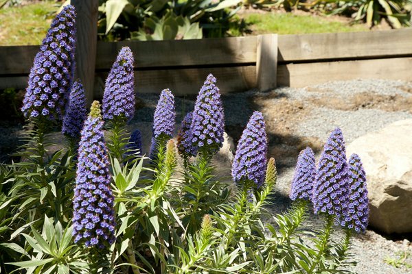 Les pièges à contourner pour une décoration de salon réussie